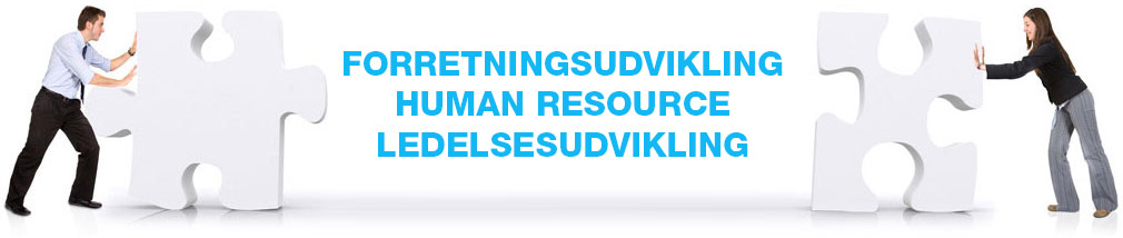 Forretningsudvikling Human Resource Ledelsesudvikling